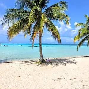 Moorea - Tropical Soul Hauru